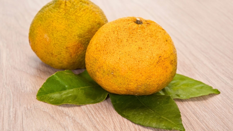 Агли цитрус