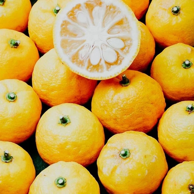 Семейство лимонных