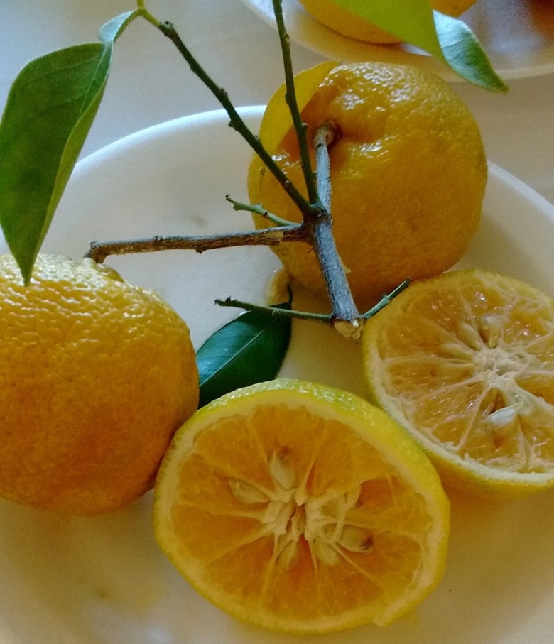 Апельсин юдзу