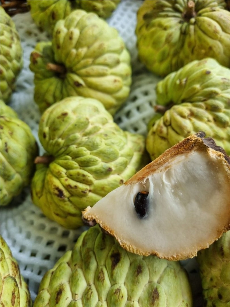 Обычные фрукты