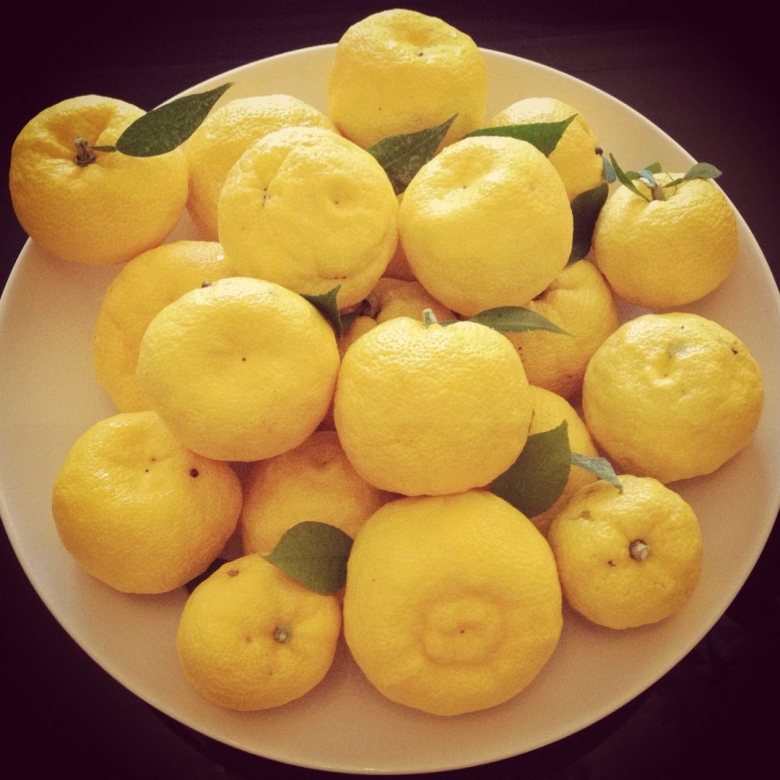 Цитрон юдзу