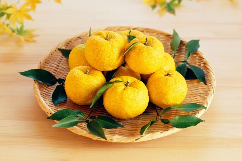 Юдзу цитрусовые