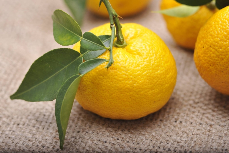 Цитрус Юзу фрукт