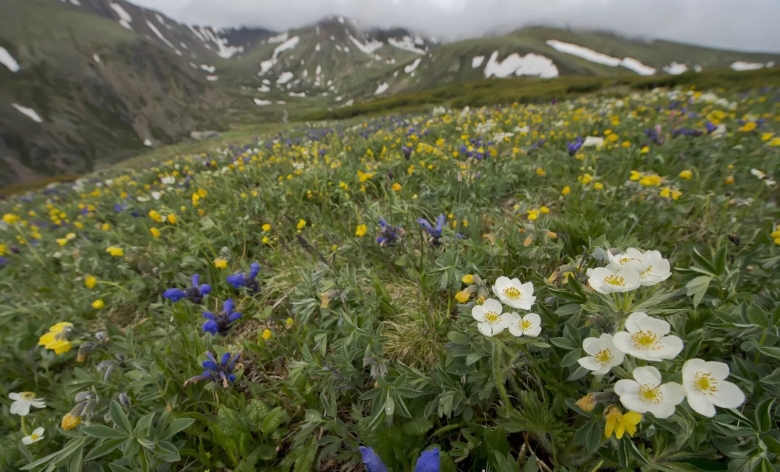Баргузинский Байкальский заповедник