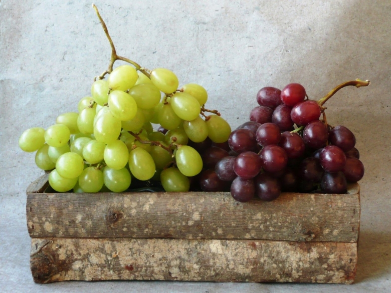 Виноград сорт