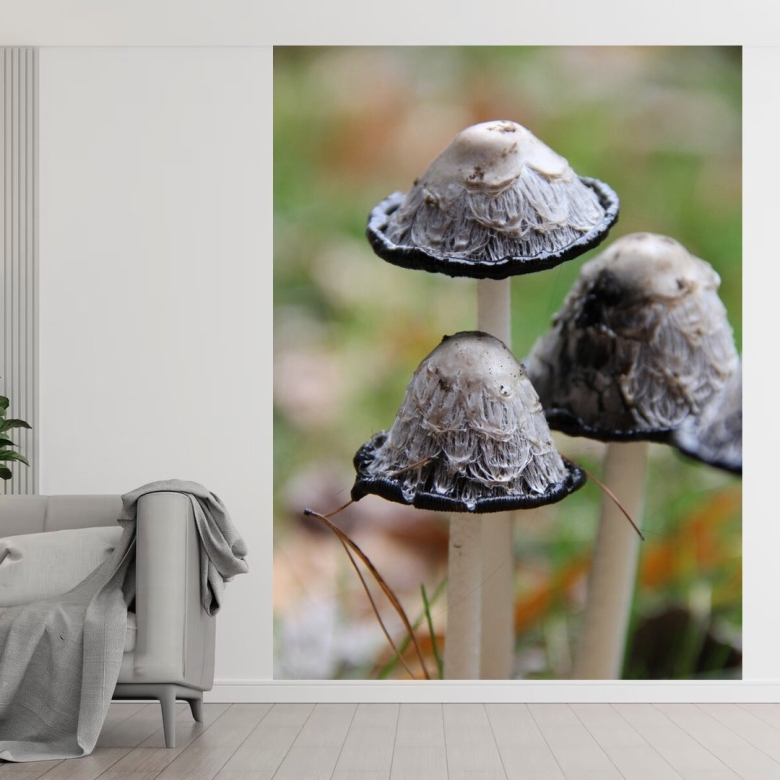 Поганка обыкновенная