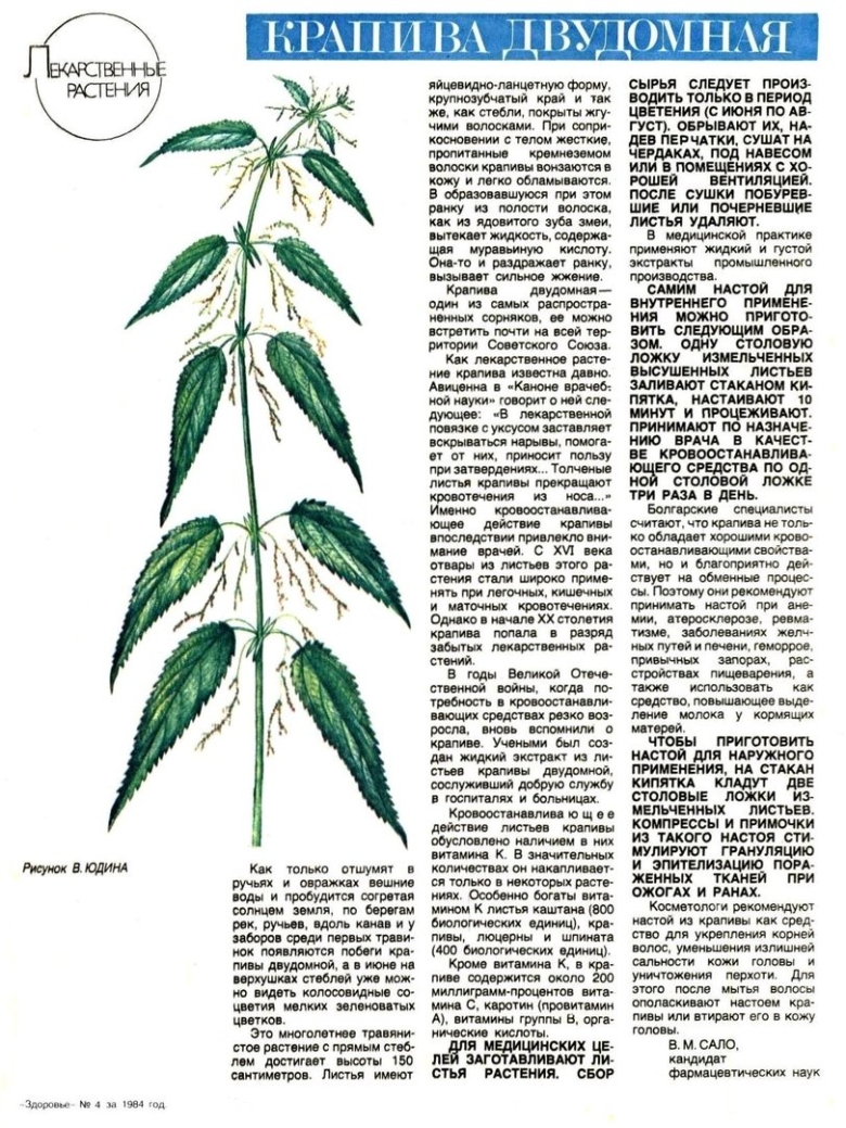 Схема химический состав крапивы двудомной