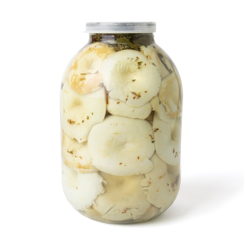 Разновидности груздей