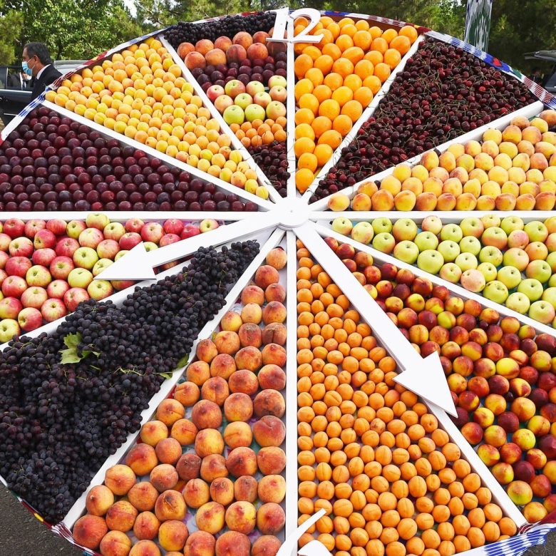 Таджикистан овощи и фрукты