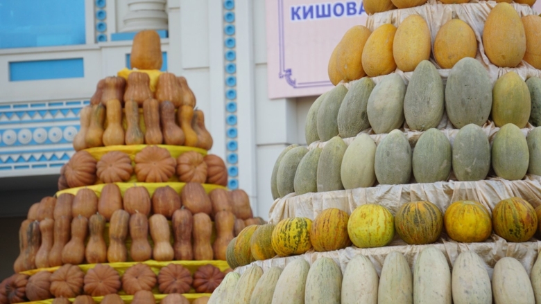 Тыква в Таджикистане