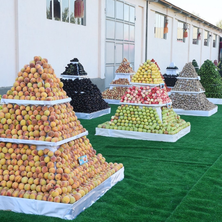 Город исфара абрикосы