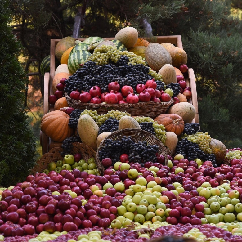 Фрукты таджикистана