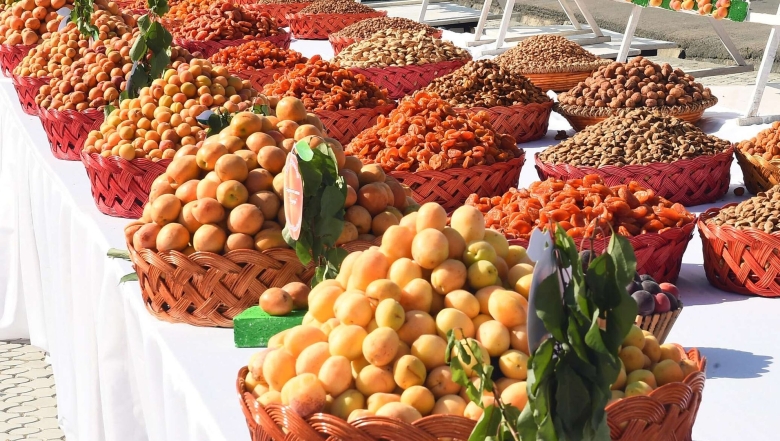 Дулона в Таджикистане