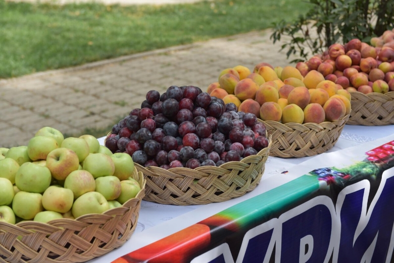 Олуча фрукты Таджикистан