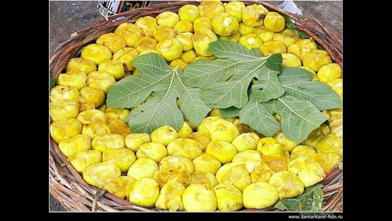Желтый инжир Узбекистан