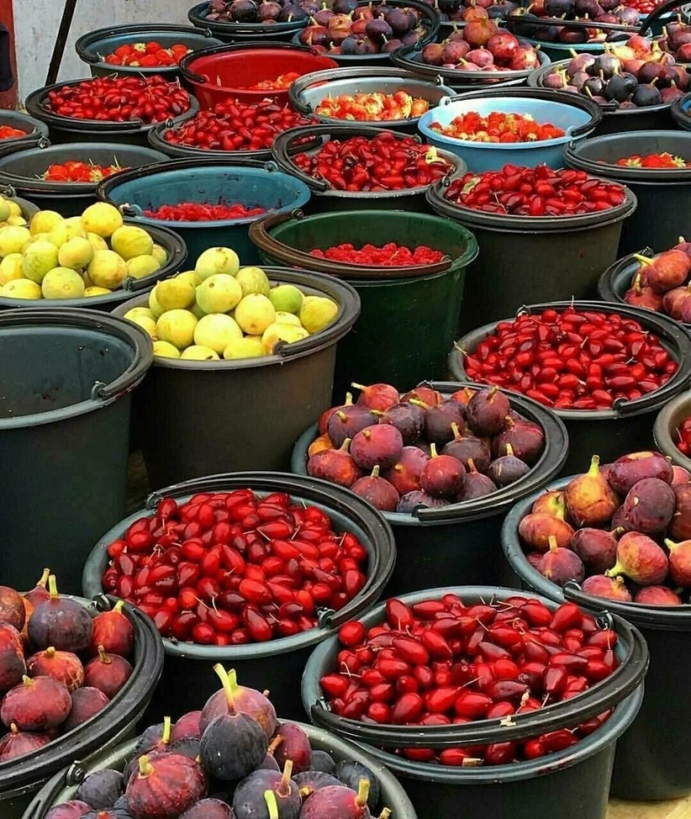 Ягода Марокко