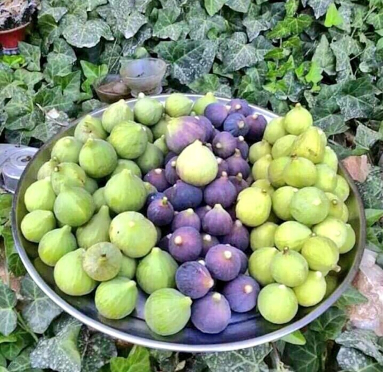 Афганские фрукты