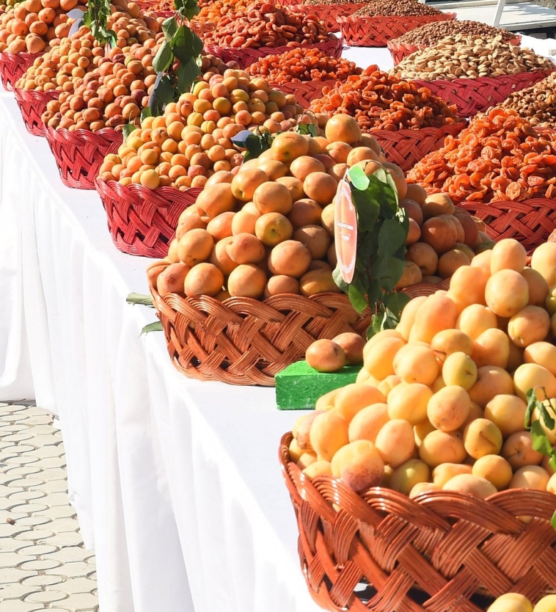 Дулона в таджикистане