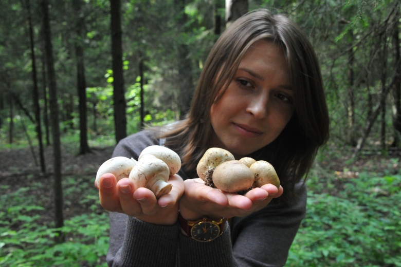 Гриб в лесу