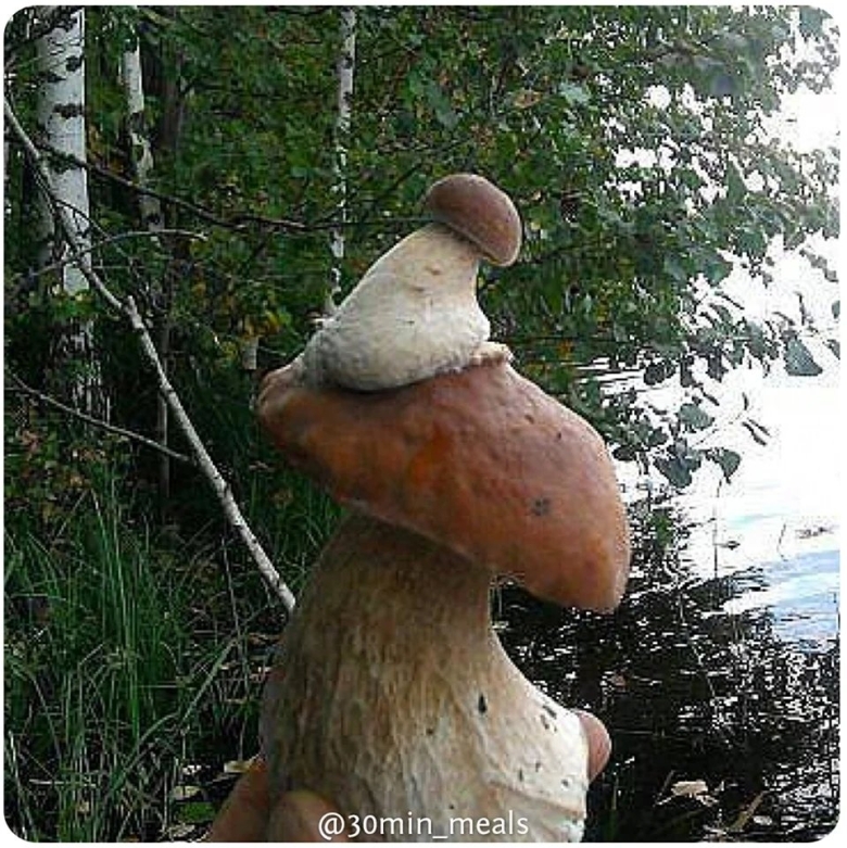 Гриб смешной