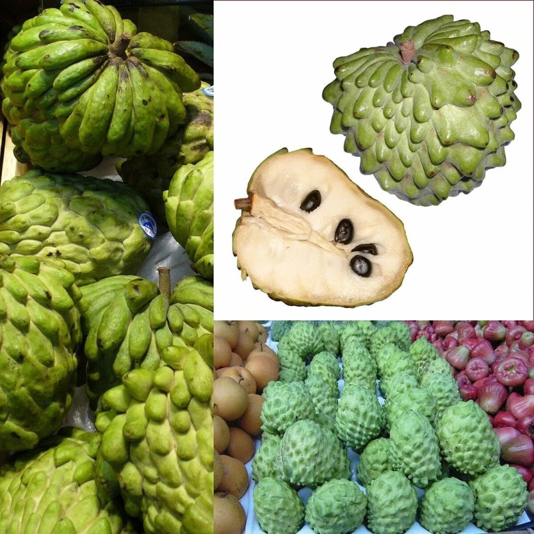 Египетский фрукт Эшта