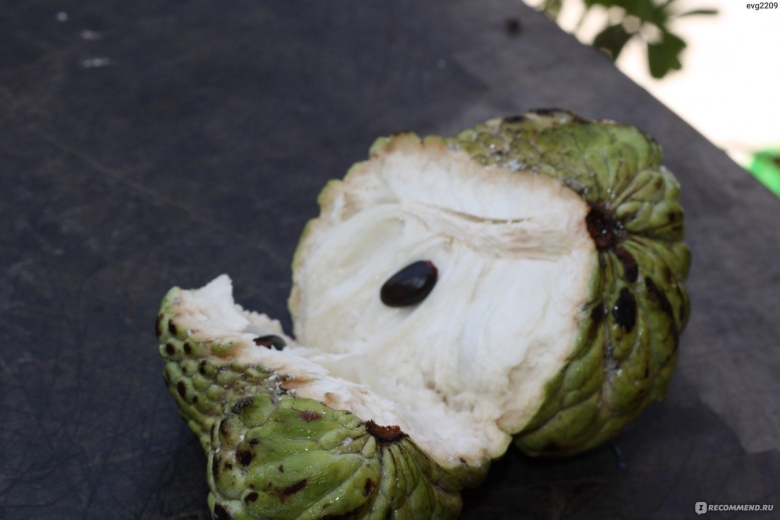 Сахарное яблоко Эшта