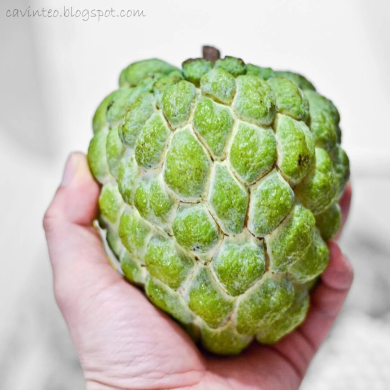 Custard Apple фрукт
