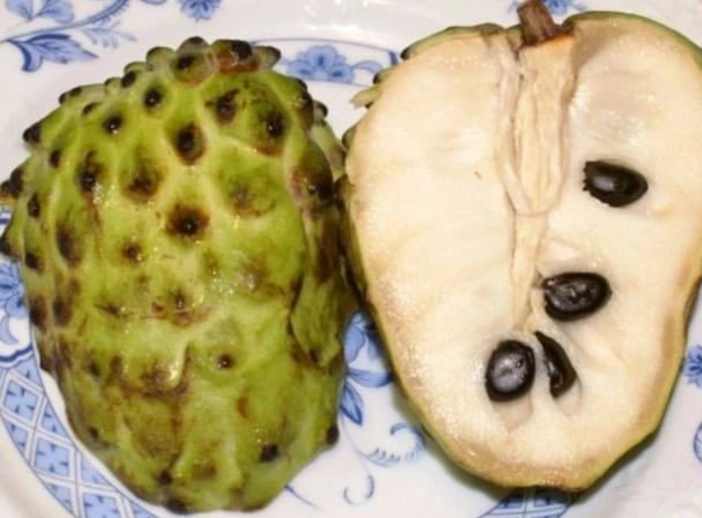 Аннона гуанабана семена