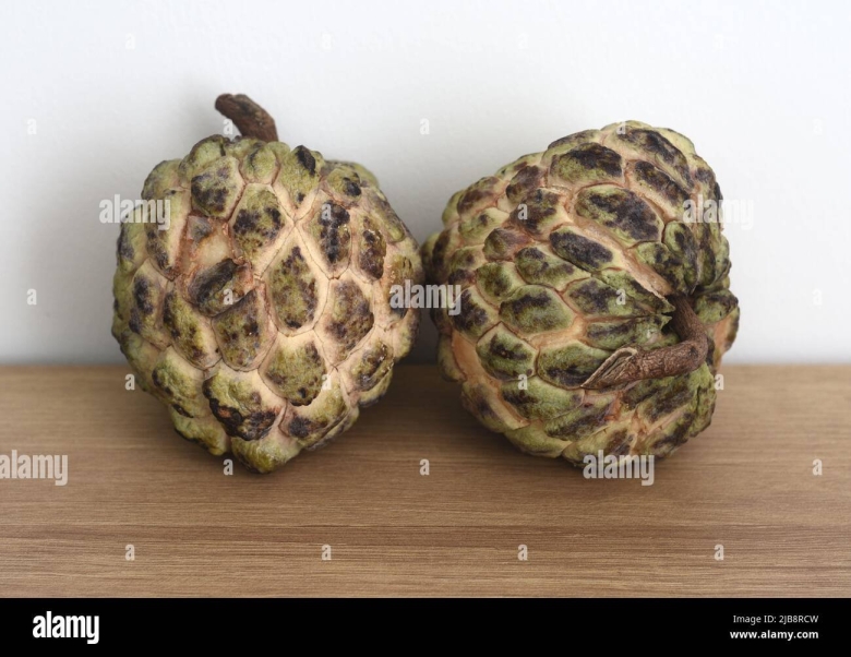 Аннона чешуйчатая