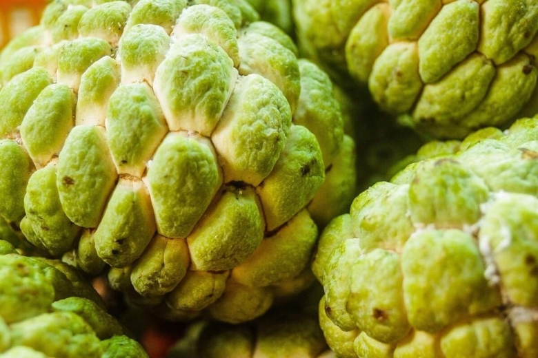 НОЙНА сахарное яблоко