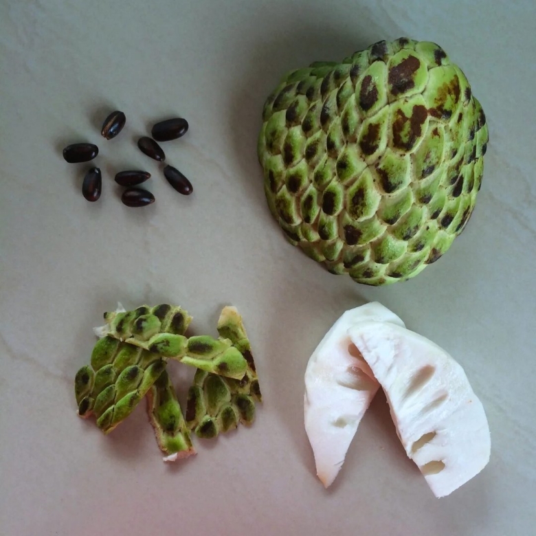 Аннона НОЙНА