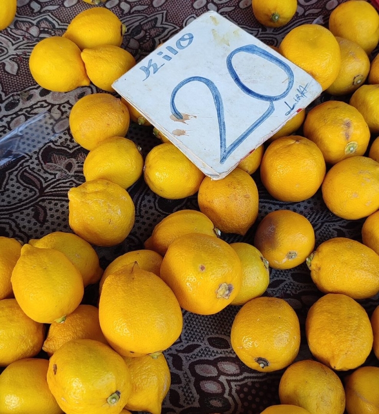 Фрукты египет