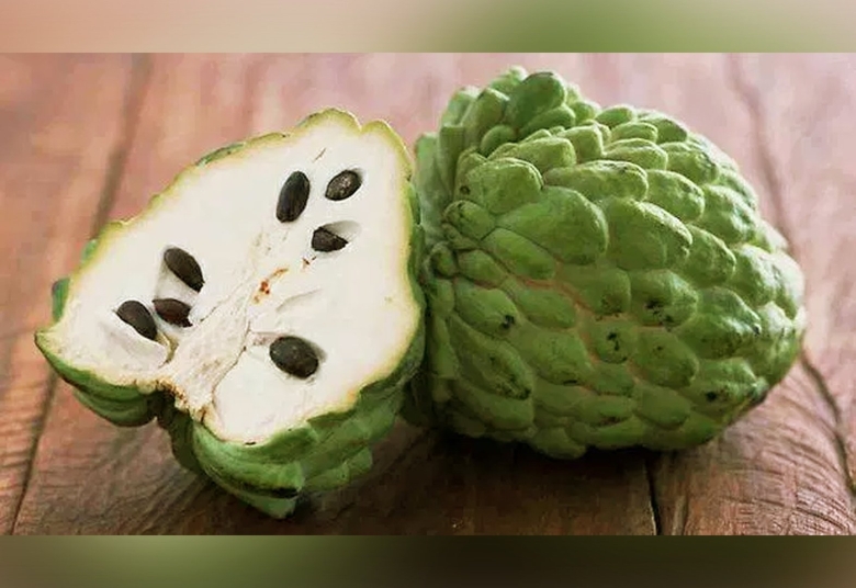 Сахарное яблоко черимойя