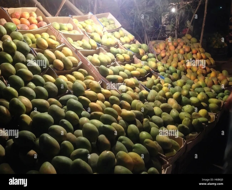 Фрукты египта