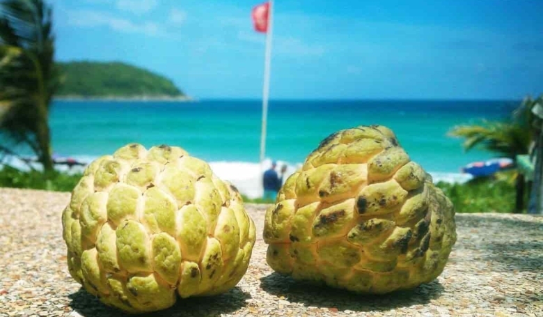 НОЙНА сахарное яблоко