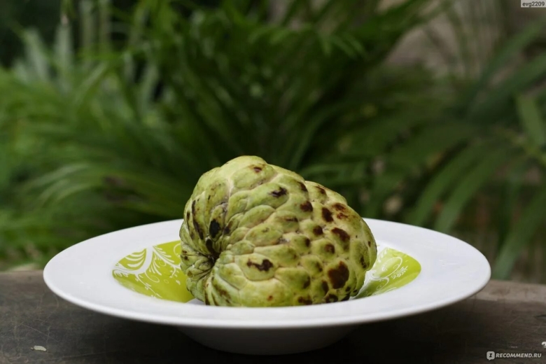 Сахарное яблоко Эшта