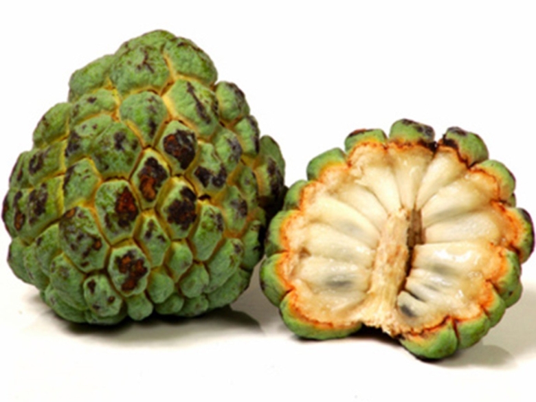 Сахарное яблоко фрукт