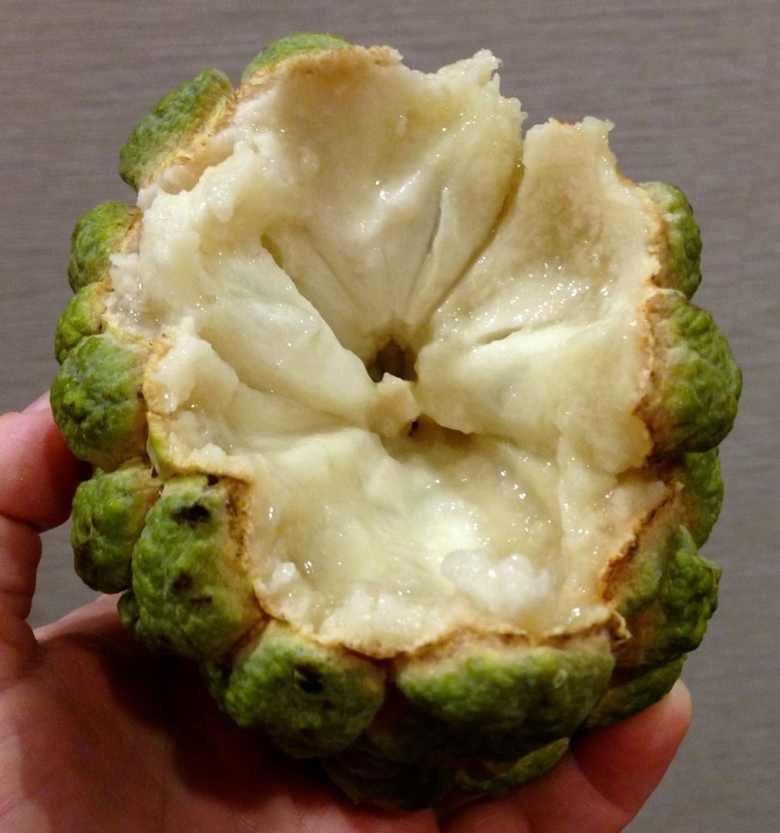 Нойна сахарное яблоко