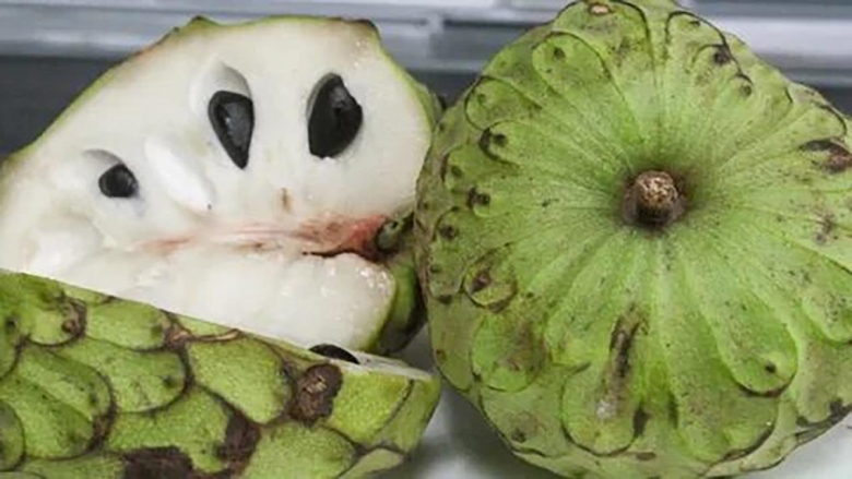 Аннона черимойя