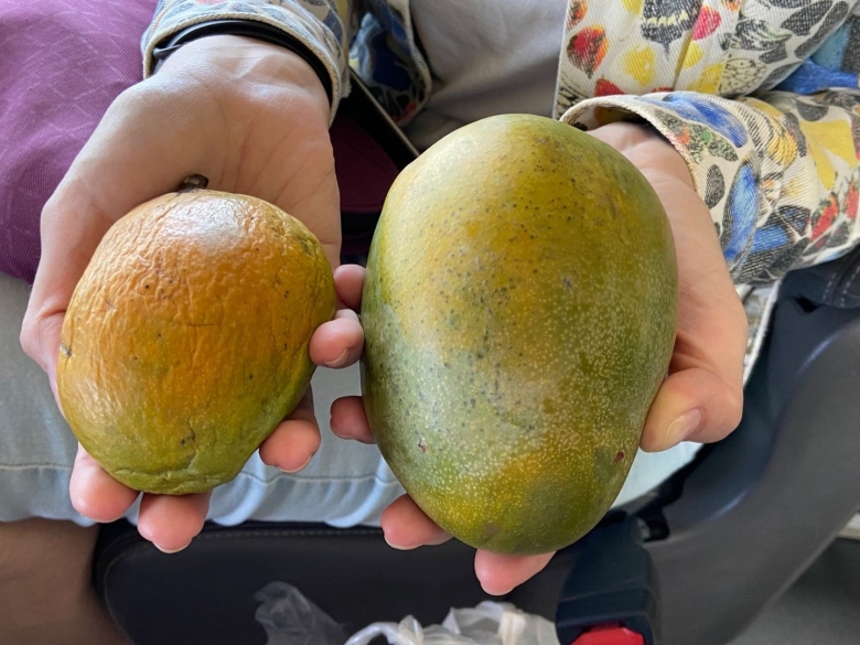 Египетский фрукт эшта