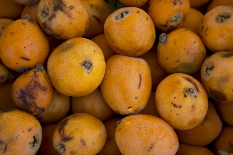 Манго Кейт Египет