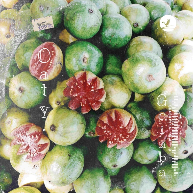 Тропические фрукты гуава