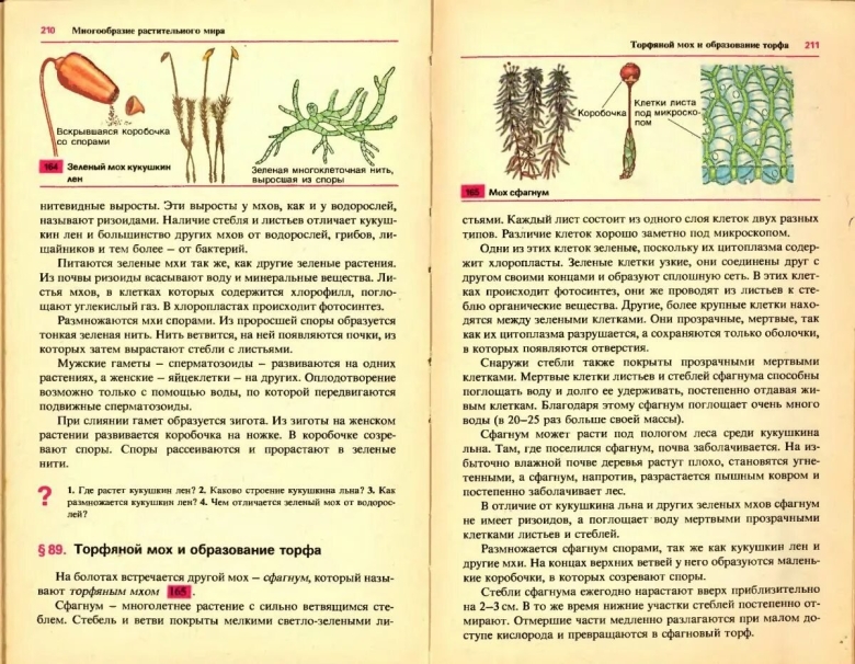 Кукушкин лен и сфагнум сравнение таблица класс