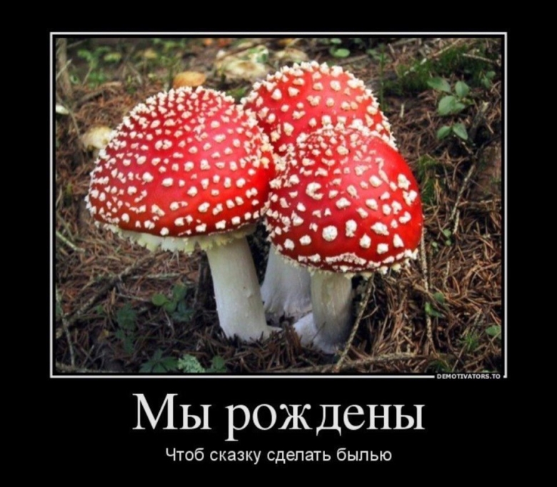 Прикольный мухомор