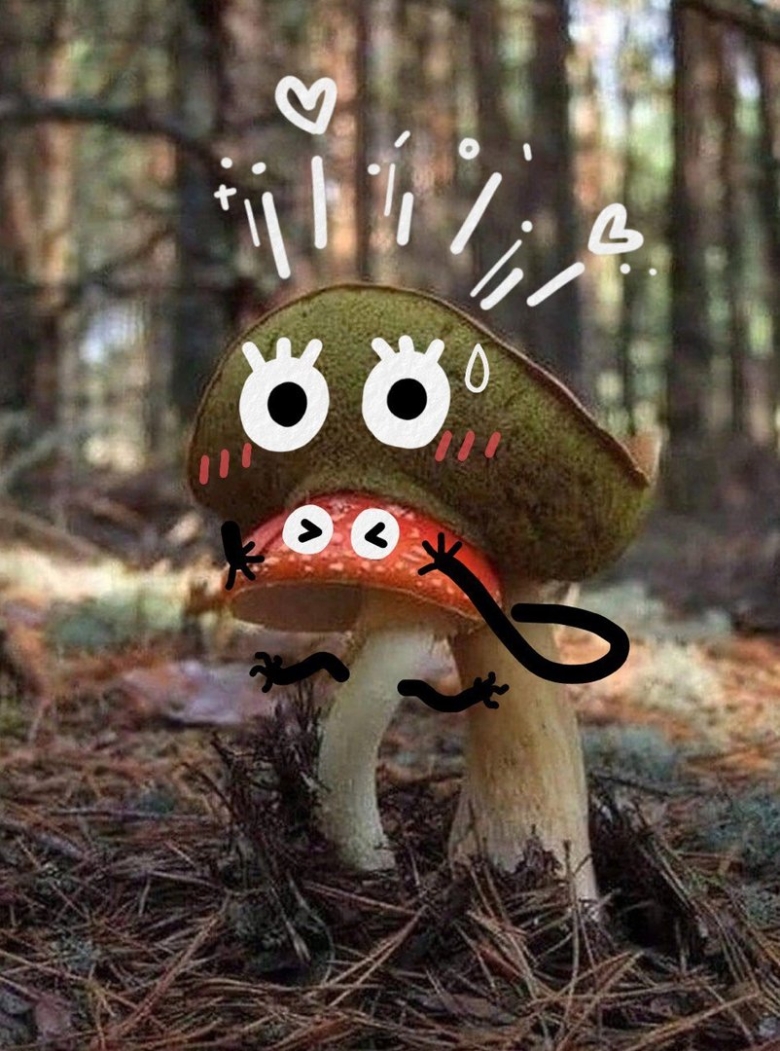 Грибочки в лесу