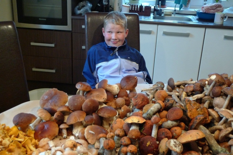 Фото с грибами прикольные