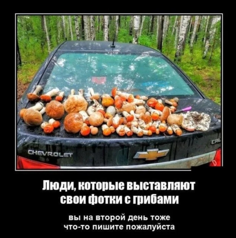 Демотиваторы на грибную тему
