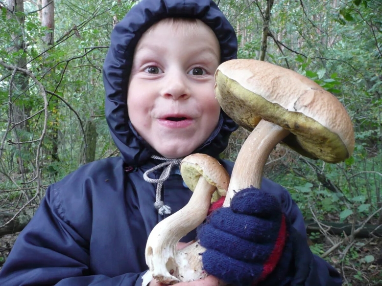 Гриб смешной