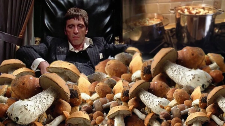 Грибы в Подмосковье