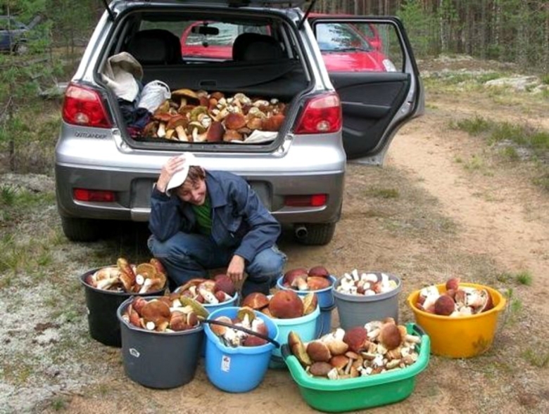 Прикольный грибник